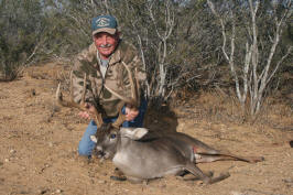 Mike's buck0_small