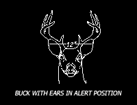 deer10 deer10