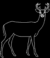 deer2 deer2