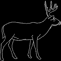 deer6 deer6