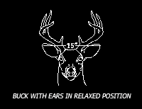 deer9 deer9