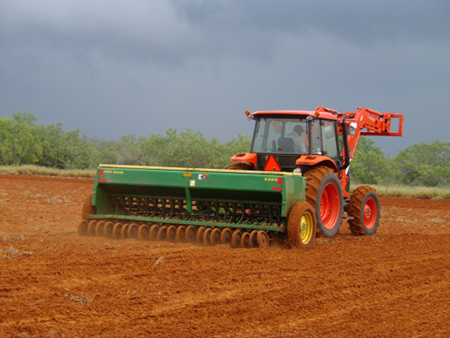 planting-oats-in-the-rain